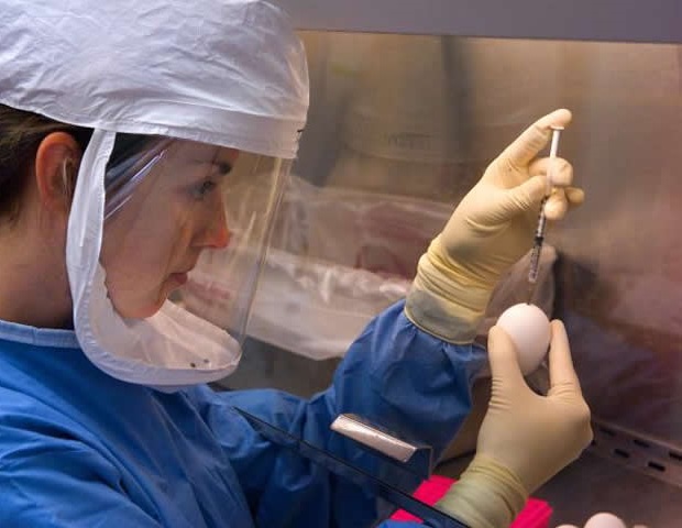 Spain's Secretary of State meets with WHO to discuss global health priorities